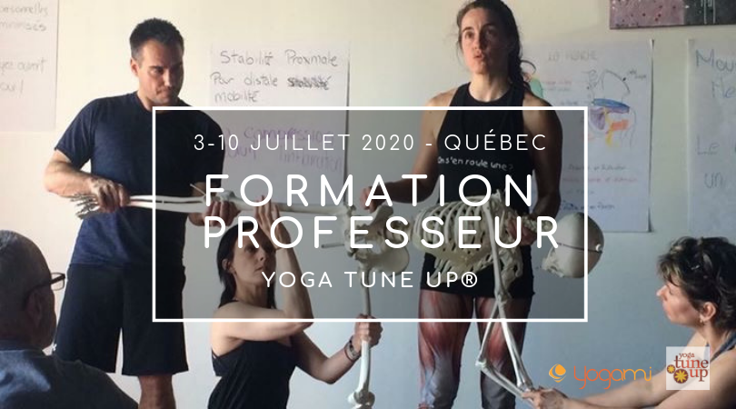 formation de professeur Yoga Tune Up, teacher training , Yoga teacher training, formation de yoga , québec, yoga québec, formation pour professeur de yoga québec, yoga-balles, yoga balles, yoga balle, yoga tune up , mimi martel, yoga fonctionnel, Jill Miller , Yoga teacher training, formation de yoga Québec, Formation de yoga Montréal, Yoga tune Up Québec, Teacher training Quebec, Yoga Montréal, formation pour professeur de yoga québec