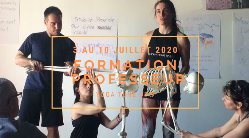 formation de professeur Yoga Tune Up, teacher training , Yoga teacher training, formation de yoga , québec, yoga québec, formation pour professeur de yoga québec, yoga-balles, yoga balles, yoga balle, yoga tune up , mimi martel, yoga fonctionnel,