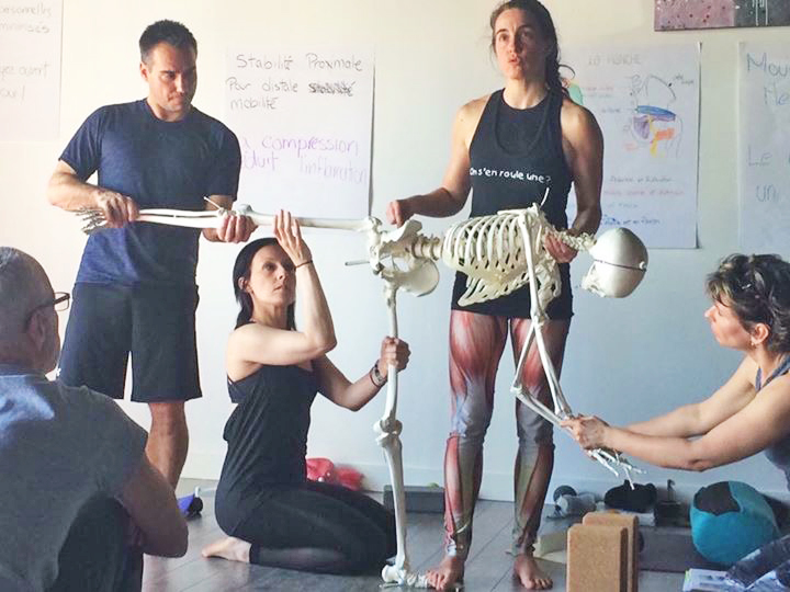 formation de professeur Yoga Tune Up, formation pour professeur Yoga Tune Up, niveau 1