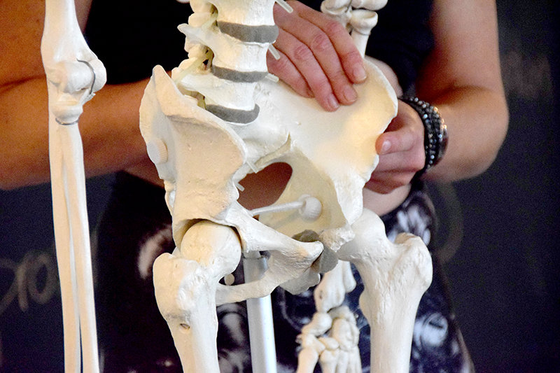 formation niveau 1 Correction posturale , posture alignement, mouvement correcteurs, yogami