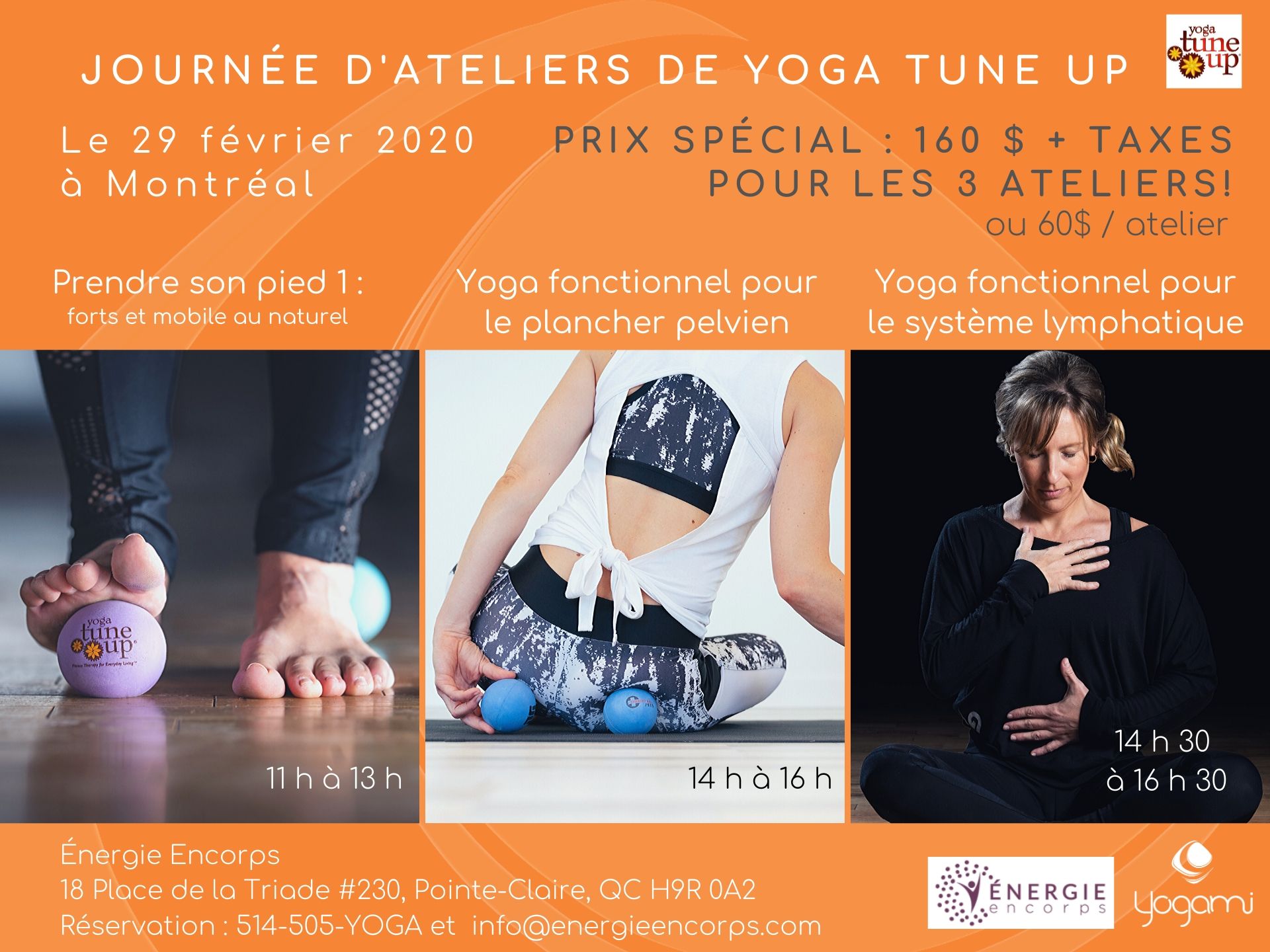 Yoga fonctionnel pour le plancher pelvien, pelvic floor health, système lymphatique, prendre son pied, yogami, coregeous , yoga pour la gestion du stress, mimi martel , energie encore, yoga montréal, prendre son pied, full body Tune Up , yoga tune up montréal, yoga fonctionnel , yoga-balles, yoga-balls The Roll Model