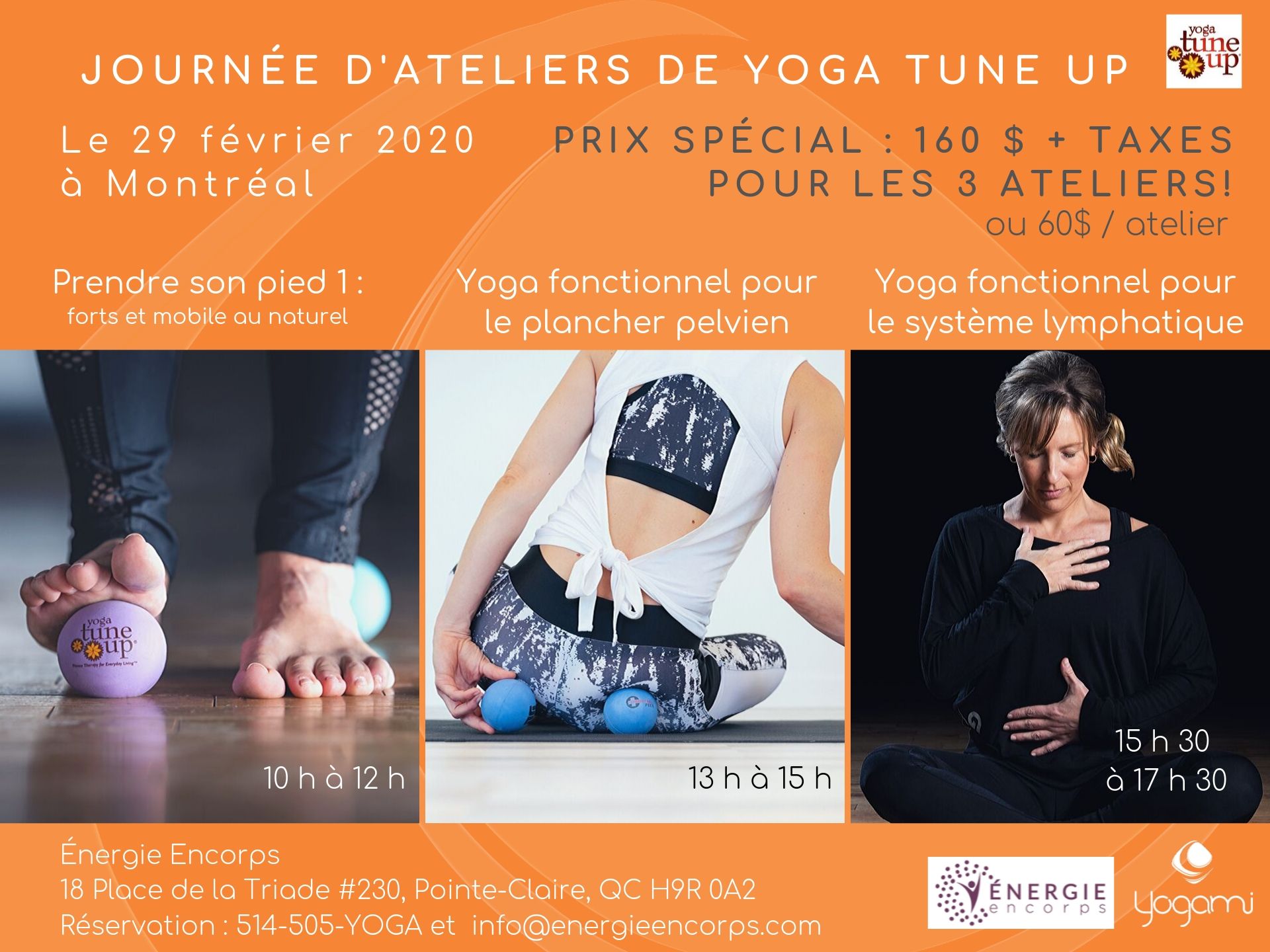 The Roll Model, Yoga fonctionnel pour le plancher pelvien, pelvic floor health, système lymphatique, prendre son pied, yogami, coregeous , yoga pour la gestion du stress, mimi martel , energie encore, yoga montréal, prendre son pied, full body Tune Up , yoga tune up montréal, yoga fonctionnel , yoga-balles, yoga-balls