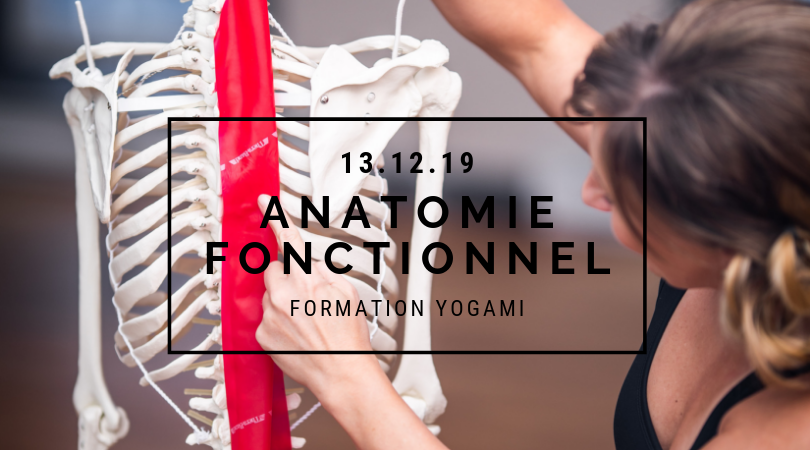 formation anatomie fonctionnelle, yogami, teacher training yoga , Namaste yoga, yoga lévis , yoga québec professeur de yoga , formation de yoga