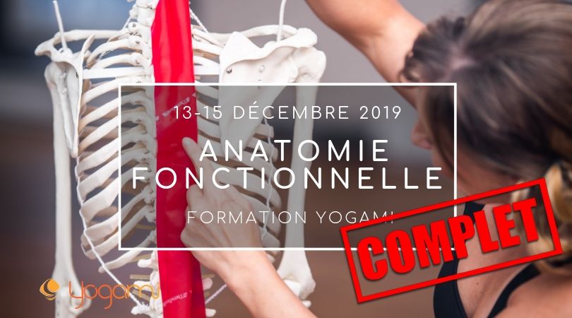 formation anatomie fonctionnelle, yogami, teacher training yoga , Namaste yoga, yoga lévis , yoga québec professeur de yoga , formation de yoga