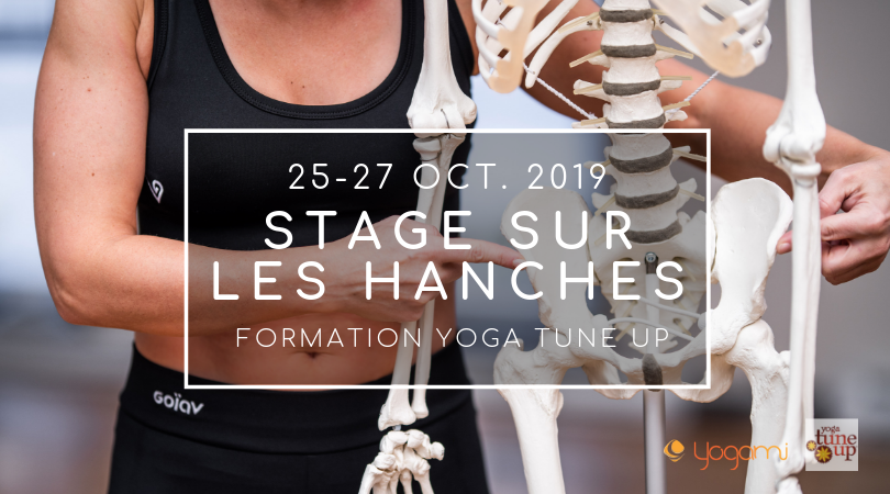 Stage Yoga Tune Up Hanches, yoga-balles, yoga tune up , the roll model, mireille mimi martel, jill miller