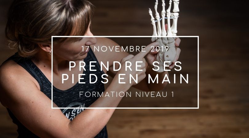 formation prendre ses pieds en main, formation yogami, formation yoga, Yoga québec, Yoga Lévis , Yoga montréal, formation pour professeurs, yoga fonctionnel, yoga tune up , yoga-balles